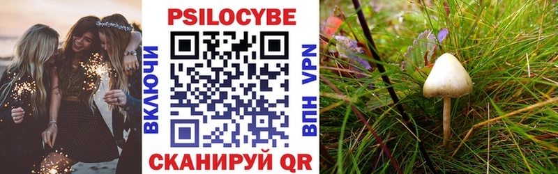 Псилоцибиновые грибы MAGIC MUSHROOMS  где можно купить   Ладушкин 
